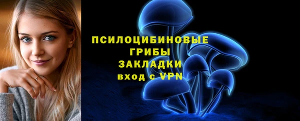 сатива Покров