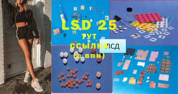 сатива Покров
