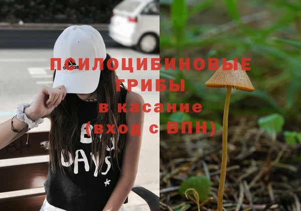 ALPHA-PVP Покачи