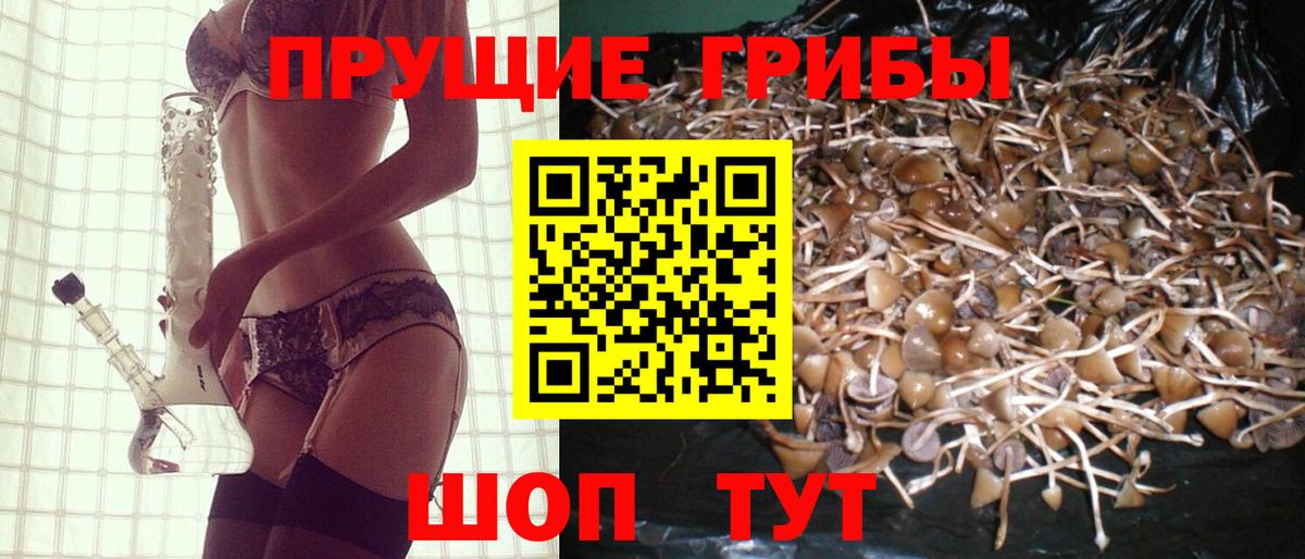 Краснодар  Галлюциногенные грибы мицелий  Псилоцибиновые грибы Psilocybe  Вход с VPN 