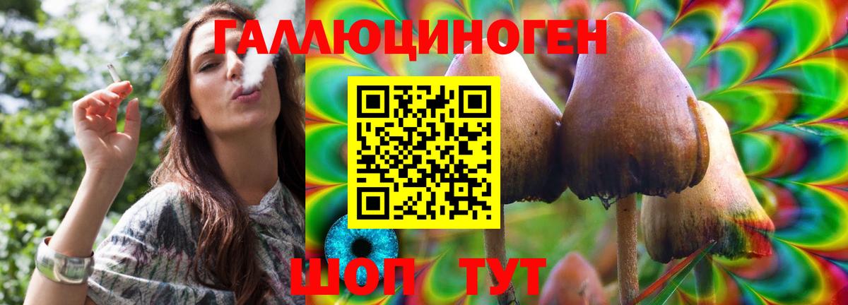 Галлюциногенные грибы Psilocybine cubensis Краснодар